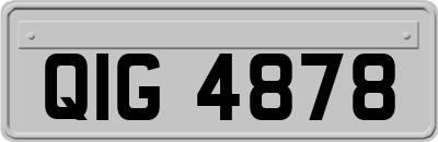 QIG4878