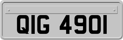 QIG4901