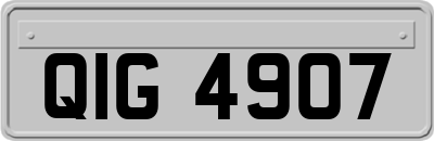 QIG4907