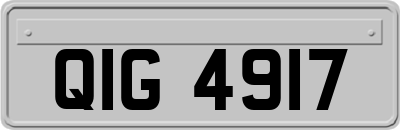 QIG4917