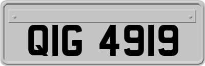 QIG4919