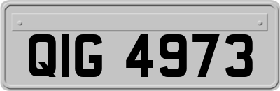 QIG4973