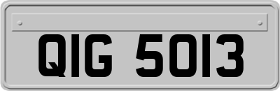 QIG5013