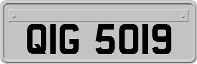 QIG5019