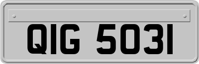 QIG5031