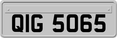 QIG5065