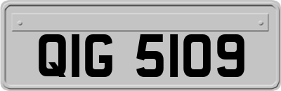 QIG5109