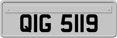 QIG5119
