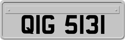 QIG5131