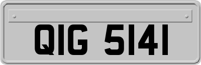 QIG5141