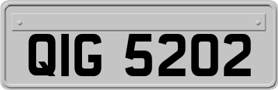 QIG5202