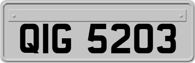 QIG5203