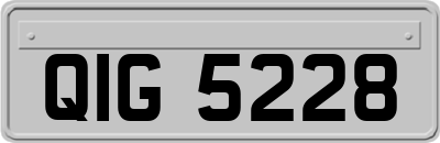QIG5228