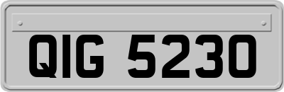 QIG5230
