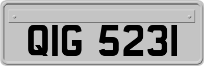QIG5231