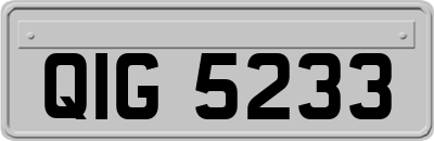 QIG5233