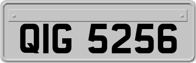QIG5256