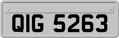 QIG5263
