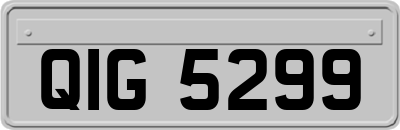 QIG5299