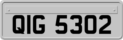 QIG5302