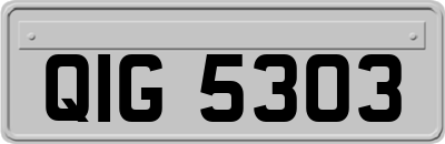 QIG5303