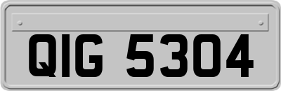 QIG5304