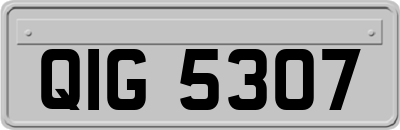 QIG5307