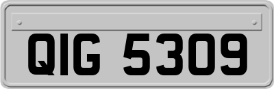 QIG5309