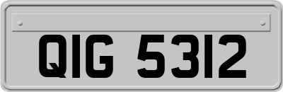 QIG5312