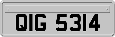 QIG5314