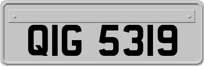 QIG5319