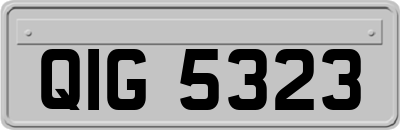 QIG5323