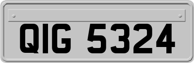 QIG5324