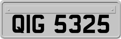 QIG5325
