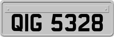 QIG5328