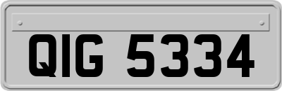 QIG5334