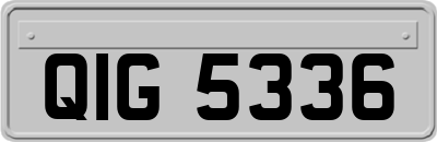 QIG5336