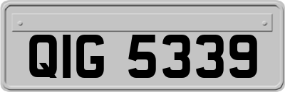 QIG5339