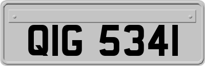 QIG5341