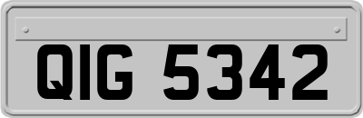 QIG5342