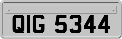 QIG5344