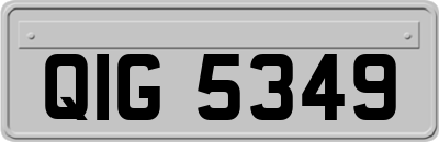 QIG5349