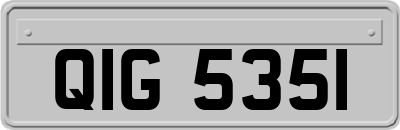 QIG5351