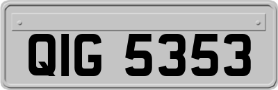 QIG5353