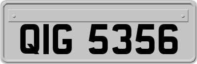 QIG5356