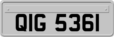 QIG5361