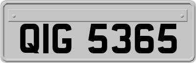 QIG5365