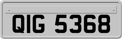 QIG5368
