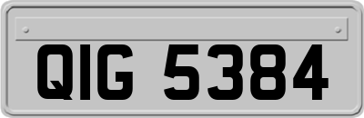 QIG5384