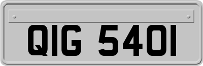 QIG5401